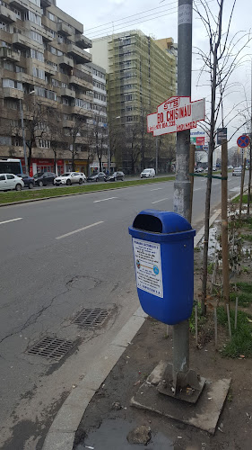 Comentarii opinii despre LUCA Delfinului