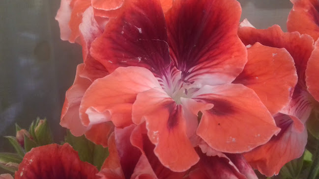 Piața Gării 1, Arad