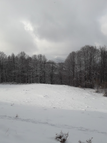 Bâsca Chiojdului 127171