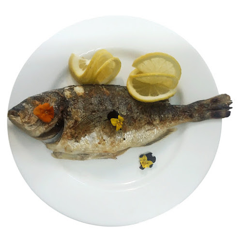 Tosca Food - Gastronomie și ospitalitate