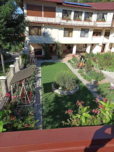 Strada Pecinișca 2, Băile Herculane 325200