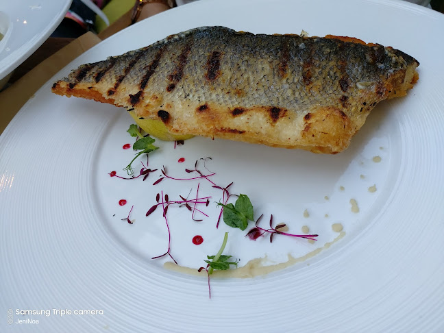 Casa Hirscher - Gastronomie și ospitalitate