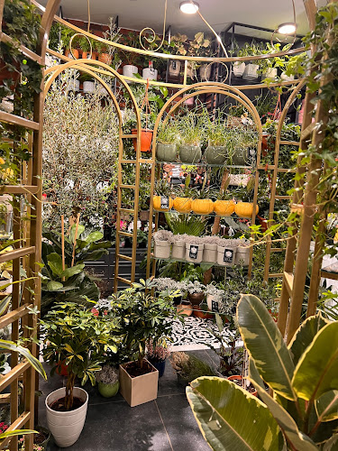 Piața Agroalimentară Zorilor - Gastronomie și ospitalitate