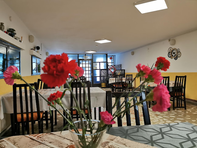 Comentarii opinii despre Alzo