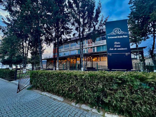 Restaurant Dealu Mare - Gastronomie și ospitalitate