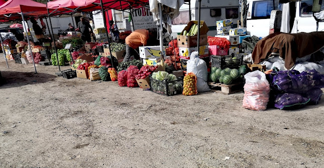 Piata De Gross Constanta - Gastronomie și ospitalitate