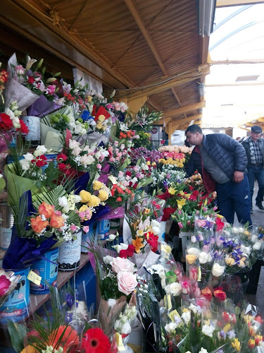 Piața Tractorul - Brașov