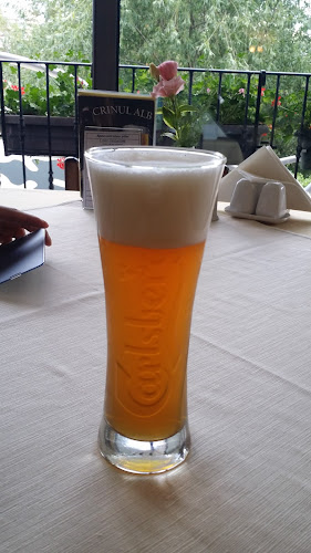 Parcul Traian 31, Oradea 410044