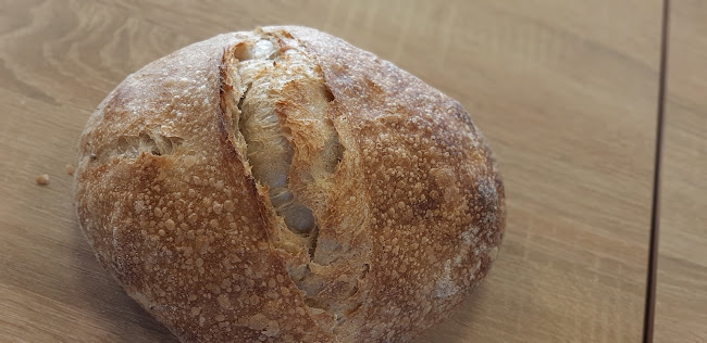 Opinii despre Cuptor rustic pe vatra în Popești-Leordeni - Gastronomie și ospitalitate