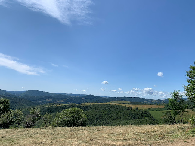 Steaua Muntilor - Gastronomie și ospitalitate