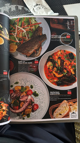 Bulevardul Decebal 79, Piatra Neamț 610046