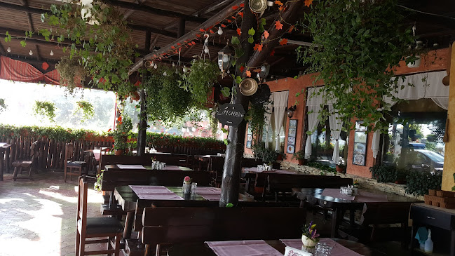 Terasa Cetate Mamaia