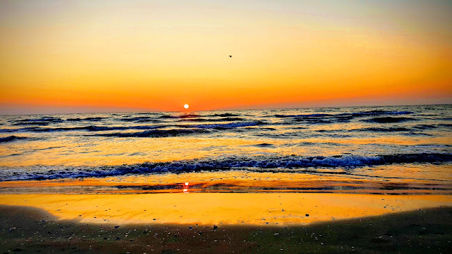 Aleea Lamia nr.2, Constanța 900001