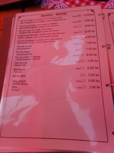 Comentarii opinii despre Restaurant Pensiune Lyra | mâncare tradițională, preparate bbq, livrare mures, restaurant mures