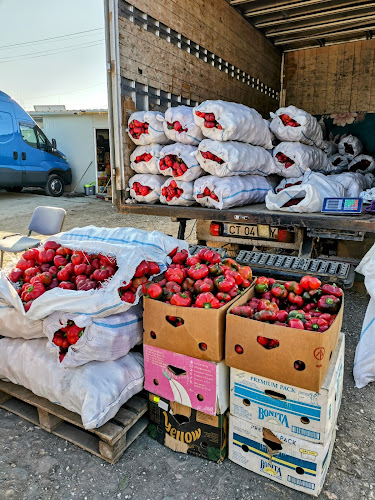 Opinii despre Piata De Gross Constanta în Constanța - Gastronomie și ospitalitate