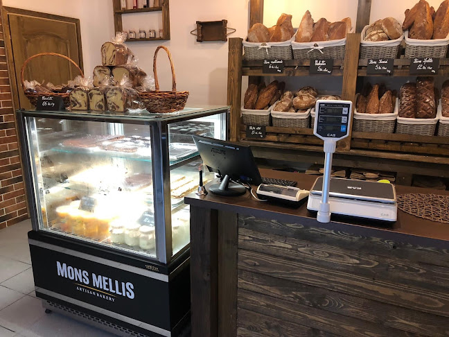 Mons Mellis - Pitești