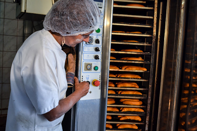 SAL-PAN S.R.L. - Salonta