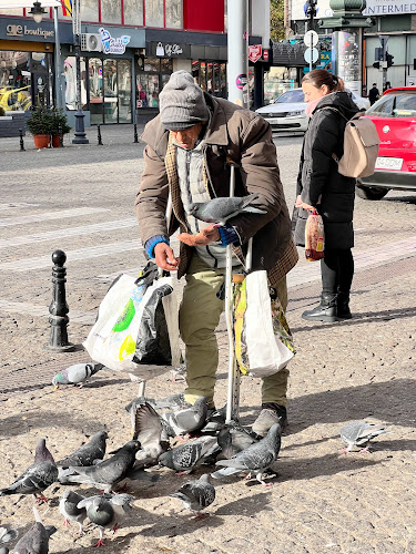 Simigeria PETRU- Stefan Cel Mare - Gastronomie și ospitalitate