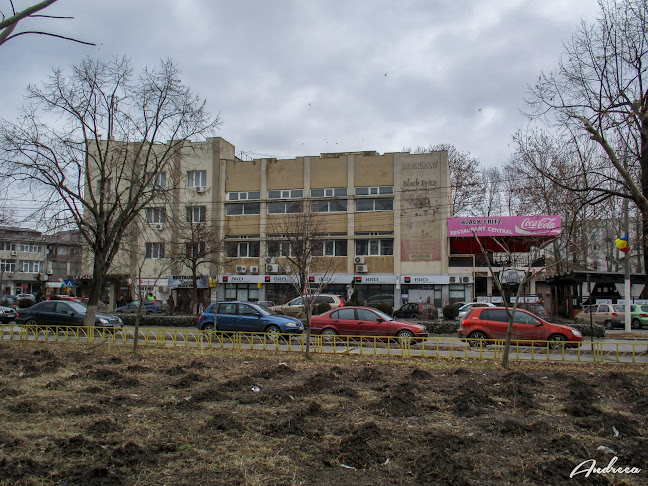Restaurant Black Fritz - Gastronomie și ospitalitate