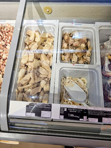 Comentarii opinii despre GiorgioMare