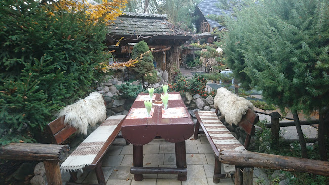 Restaurant Hanul Dacilor Ploiesti - Gastronomie și ospitalitate