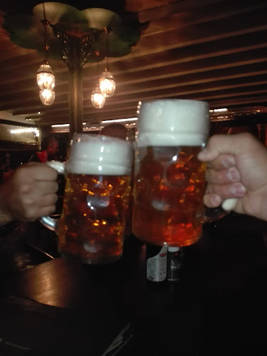 Bistro Junior - Gastronomie și ospitalitate