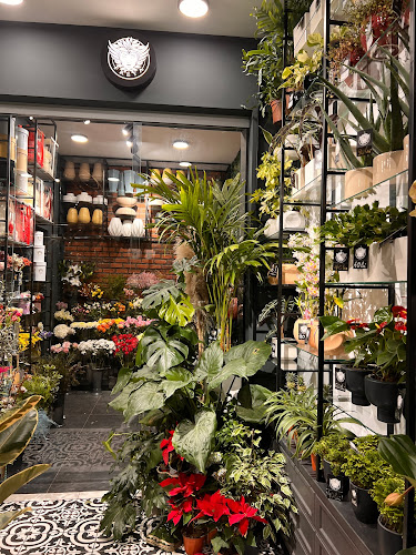 Comentarii opinii despre Piața Agroalimentară Zorilor