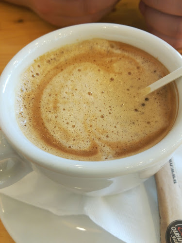 Pizza Luca - Gastronomie și ospitalitate