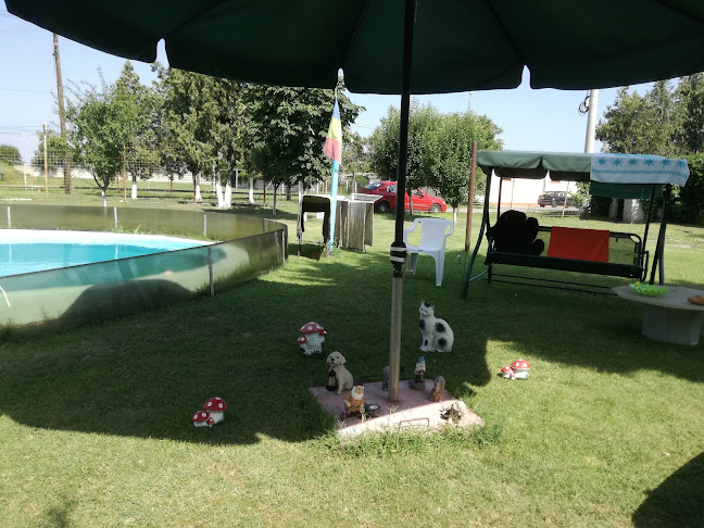 Lido Gîrbea - Păulești