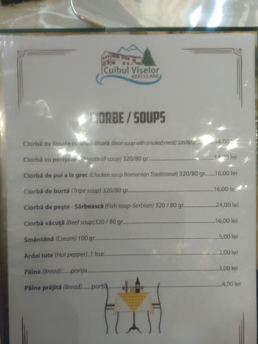 Pensiunea Cuibul Viselor- La Johnny - Băile Herculane