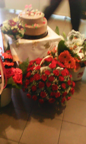 Bodoșca Mihail Gabriel Egyéni vállalkozás - Gastronomie și ospitalitate