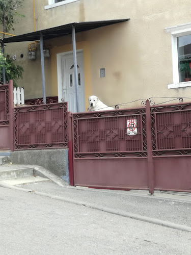 Opinii despre Brutăria Dartim în Cluj-Napoca - Gastronomie și ospitalitate