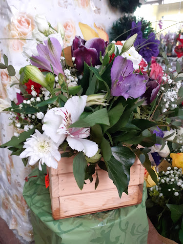 Strada Martir Ioan Stanciu 9, Timișoara