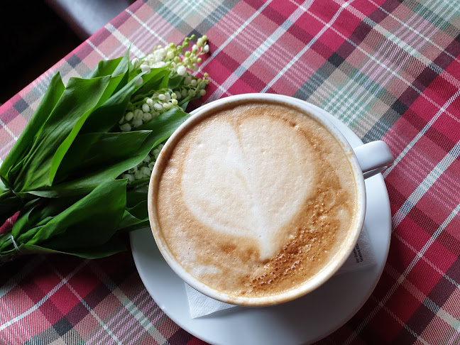 Strada Domnească 85, Galați 800201