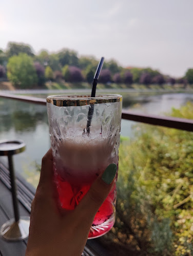 Comentarii opinii despre Rivo