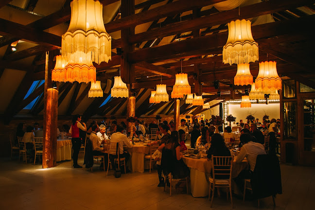 Comentarii opinii despre Casa Boema