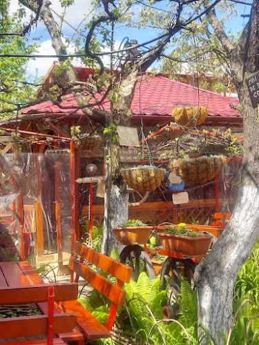 Comentarii opinii despre Terasa Carul cu Flori