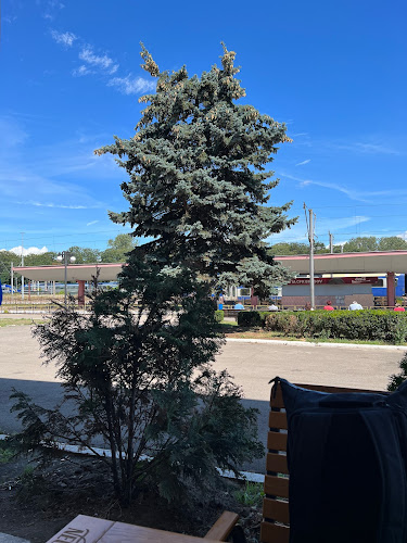 Opinii despre Autoservire în Brașov - Gastronomie și ospitalitate