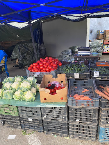 Comentarii opinii despre Piata agroalimentara Râmnicu Vâlcea