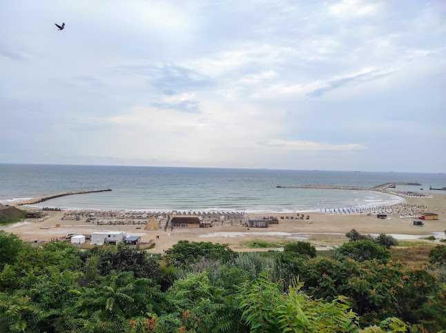 Zorile - Gastronomie și ospitalitate