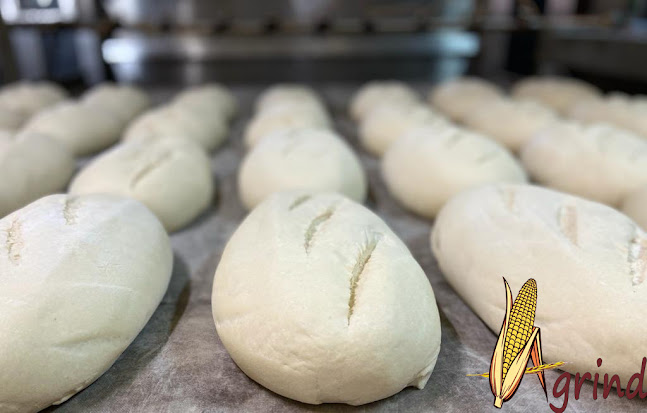 Strada Înfrăţirii 162, Tășnad 445300