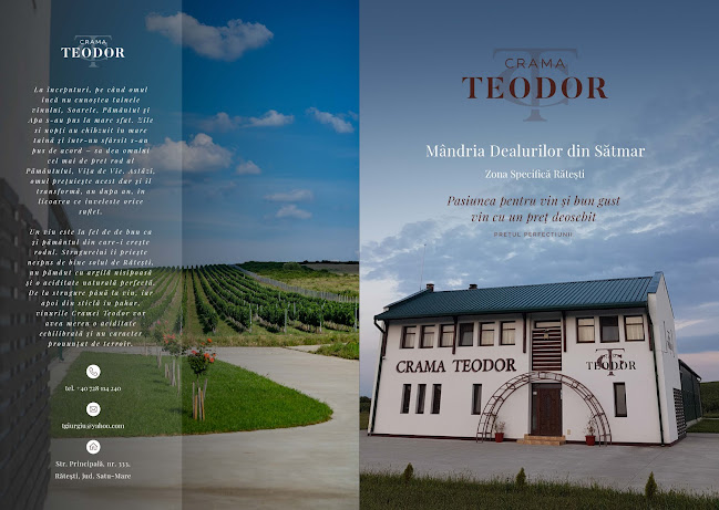 Crama Teodor - Gastronomie și ospitalitate