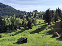 Comentarii opinii despre Killer - Produs in Bucovina