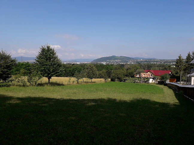 Opinii despre Coafor Piatra Neamt în Târgu Neamț - Gastronomie și ospitalitate