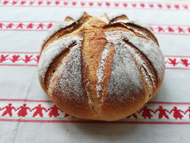 Pită Faină - Giurgiu