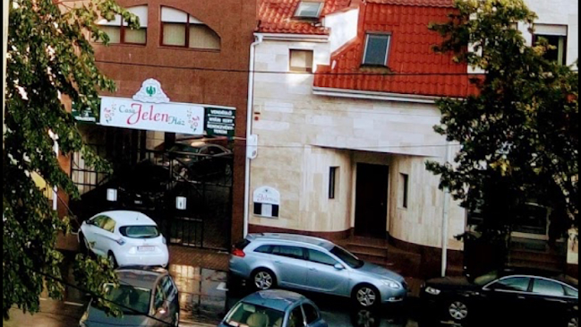 Jelen Haz - Arad