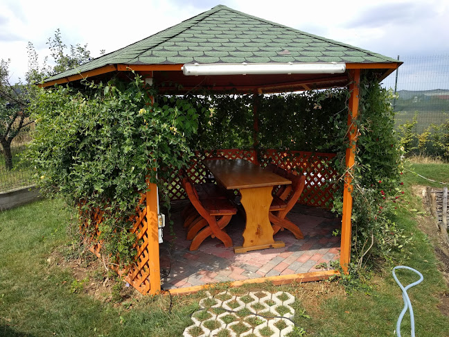 CATERING SHOW S.R.L. - Gastronomie și ospitalitate