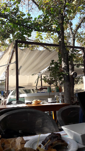 Splaiul Spiru Haret 1, Timișoara 300023