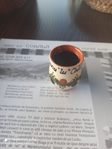 Opinii despre Hanu Lu Cobâlă în Budești - Gastronomie și ospitalitate