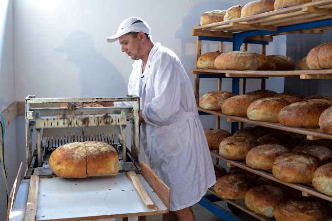 SAL-PAN S.R.L. - Salonta